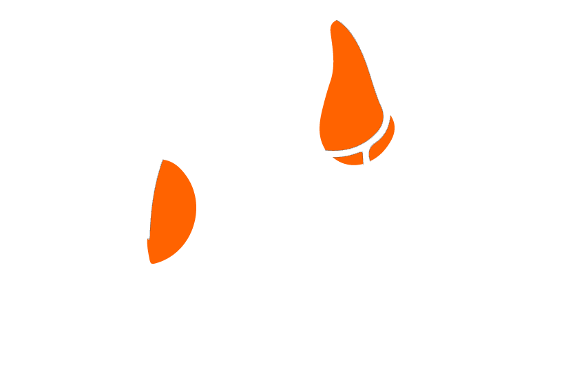 Logo-Gailtaler-Futterstube-weiss-orange Logo weiß Gailtaler Futterstube