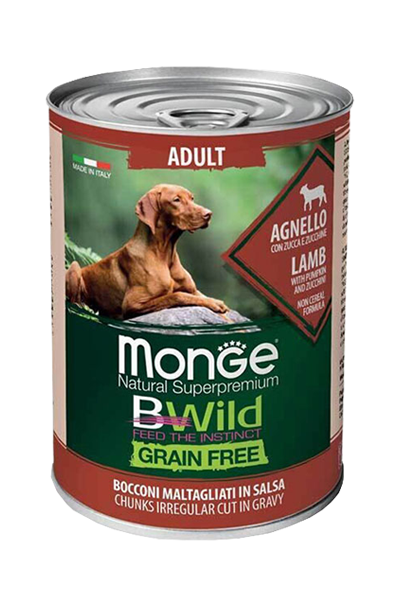 Monge Produkt: BWild Grain free