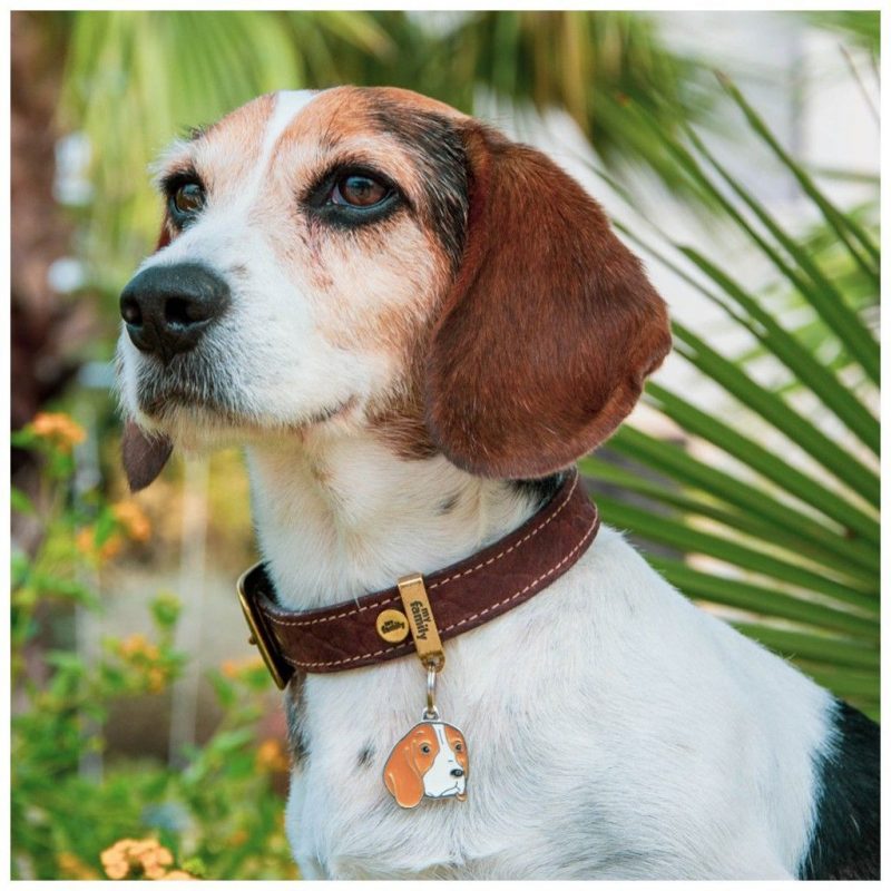 Friends Beagle Plakette – Bild 3