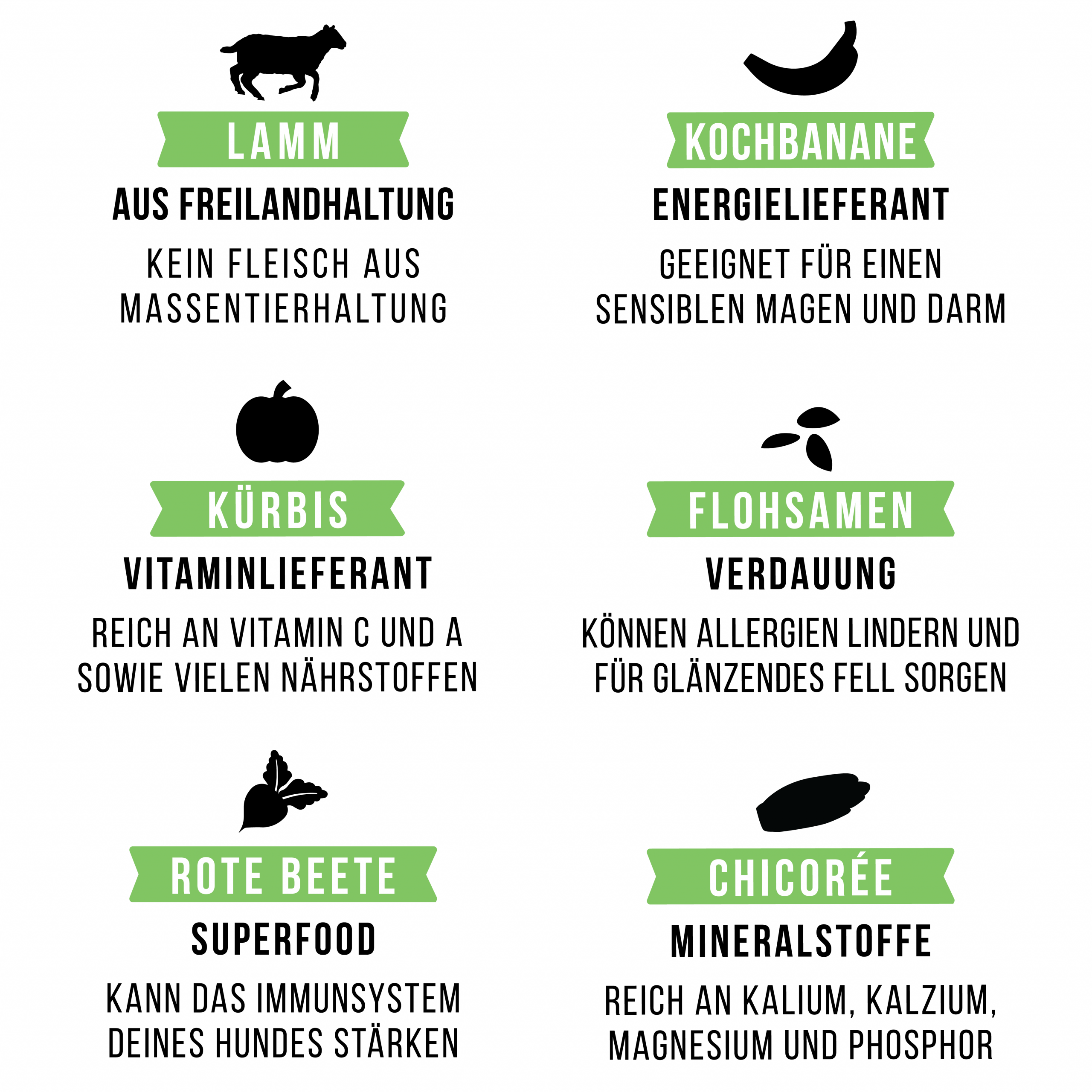 LammBa Zamba – Bild 3